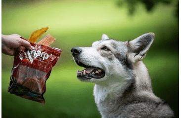 MARP TREATS BUFFALO PADDYWACK - SUŠENÁ ŠLACHA 200G