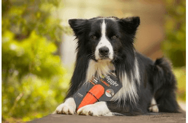 SPUNKY PUP MRKEV NA PAMLSKY 13CM