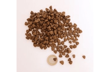 MARP HOLISTIC CHICKEN - KUŘECÍ BEZ OBILOVIN PRO KOČKY 2KG 1+1 (PRO ÚTULEK VOŘÍŠKOV)