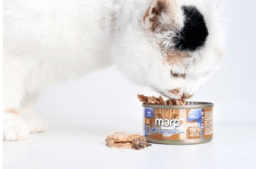 MARP HOLISTIC PLUS KONZERVA PRO KOČKY – TUŇÁKOVÉ FILETY VE VÝVARU 70G