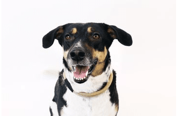 AMINELA FERRATA LANOVÝ OBOJEK - BÉŽOVÁ