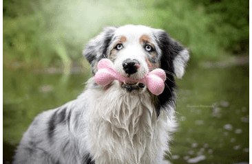 AMARAGO ECO FRIENDLY HRAČKA PRO PSY KOST VELKÁ RŮŽOVÁ Z TRP PĚNY, 15CM/76G