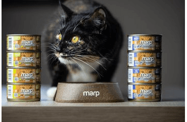 MARP HOLISTIC PLUS KONZERVA PRO KOČKY - KUŘECÍ PATÉ S HOVĚZÍMI KOUSKY 70G