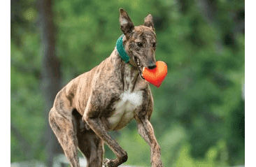 RUFF DAWG NEZNIČITELNÁ HRAČKA PRO PSY SRDCE 7,6CM PRO MALÉ A STŘEDNÍ PSY DO 18 KG