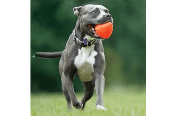 RUFF DAWG NEZNIČITELNÁ HRAČKA PRO PSY PYRAMIDA 10,20CM PRO VELKÉ PSY NAD 18 KG