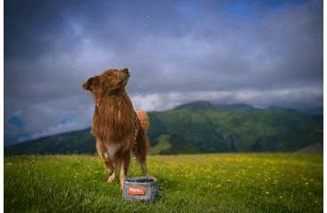 CESTOVNÍ MISKA AMINELA 3L - ŠEDÁ