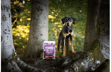 MARP HOLISTIC RED MIX - HOVĚZÍ,KRŮTÍ,ZVĚŘINA BEZ OBILOVIN 2KG