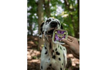 MARP MIX VANIČKA PRO PSY KUŘE+ZELENINA 100G
