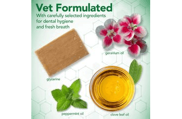 VET'S BEST PĚNA NA ZUBY PRO PSY 150ML