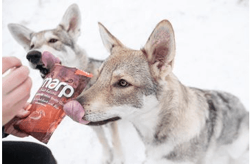 MARP HOLISTIC – KACHNÍ PAMLSKY S KELPOU BEZ OBILOVIN 150G