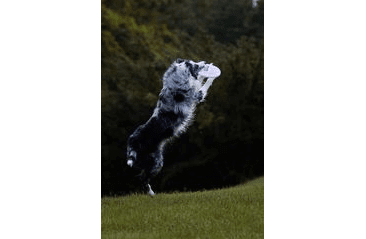 AMINELA FRISBEE FASTBACK FLEX LIGHT PURPLE