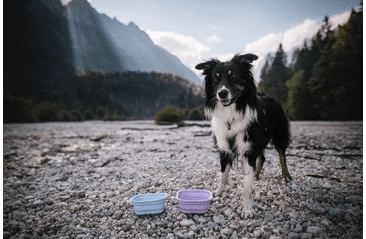 AMARAGO SILIKONOVÁ SKLÁDACÍ MISKA 1000ML - ŠEDÁ