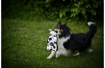 MULTIPET SQUEAKER MAT TUG KRÁVA PLYŠ 35,5 CM