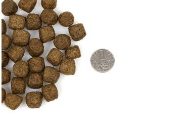 MARP NATURAL FARMLAND - KACHNÍ 12KG