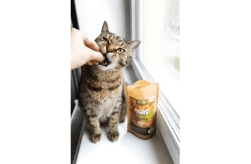 MARP HOLISTIC FRESH POULTRY - PAMLSKY PRO KOČKY 150G