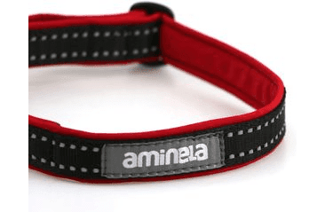 AMINELA OBOJEK SE SPONOU SPORT & CITY 25MM/35-60CM, ČERVENÁ
