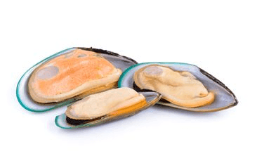 MARP HOLISTIC - NOVOZÉLANDSKÁ MUŠLE 100G