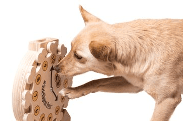 DŘEVĚNÝ HLAVOLAM CLOCK