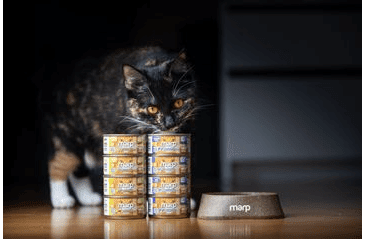 MARP HOLISTIC PLUS KONZERVA PRO KOČKY – KUŘECÍ PRSA VE VÝVARU 70G