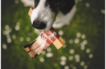 MARP HOLISTIC - HORSKÁ TYČINKA L (70 - 79G) SLEVA 30% (POLÁMANÁ)