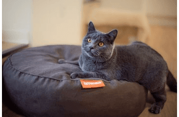 KULATÝ PELÍŠEK AMINELA FULL COMFORT 60/15CM HNĚDÁ