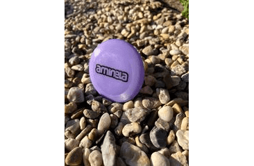 AMINELA FRISBEE FASTBACK MINI PURPLE