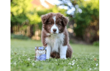 MARP VARIETY SINGLE TUŇÁK KONZERVA PRO PSY 6X400G