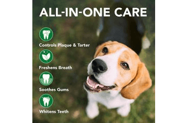 VET'S BEST PĚNA NA ZUBY PRO PSY 150ML