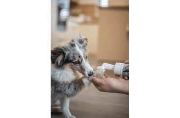 AMINELA CLEAN ČISTIČ NA TLAPKY PRO PSY 150ML