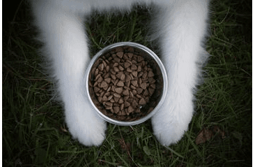MARP HOLISTIC WHITE MIX LB - PRO VELKÁ PLEMENA BEZ OBILOVIN 2KG