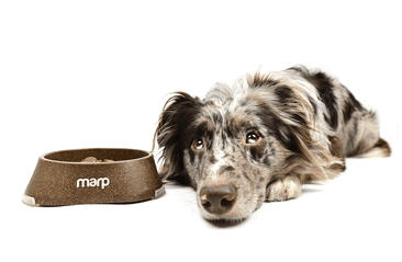 MARP EKOLOGICKÁ MISKA M 400ML