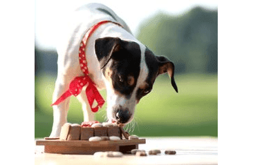 ANIMAL CAKE - DORT PRO PSY 120G