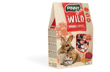 PINNY WILD SNACK VEGGIE SURPRISE 100G EXP 07/2025 SLEVA 30%