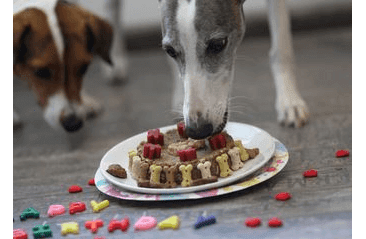 ANIMAL CAKE - DORT PRO PSY 120G