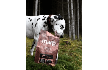 MARP HOLISTIC SALMON - LOSOSOVÉ BEZ OBILOVIN 2KG