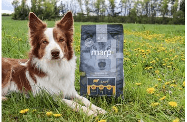 MARP NATURAL PLUS JEHNĚČÍ 2KG