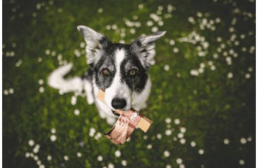 MARP HOLISTIC - HORSKÁ TYČINKA L (70 - 79G) SLEVA 30% (POLÁMANÁ)