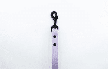 BAFPET KOŽENÉ VODÍTKO HERRY, ČERNÉ KOVÁNÍ - FIALOVÁ