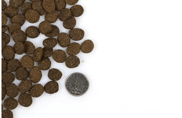 MARP HOLISTIC LAMB - JEHNĚČÍ BEZ OBILOVIN 2KG