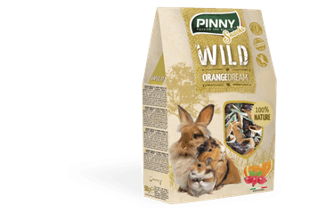PINNY WILD SNACK ORANGE DREAM 50G EXP 07/2025 SLEVA 30%