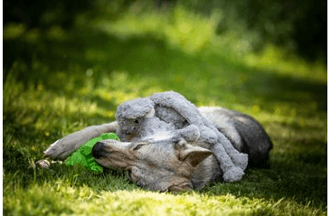 MULTIPET ORIGAMI PALS CHROCHTAJÍCÍ HROCH LATEX 20,5 CM