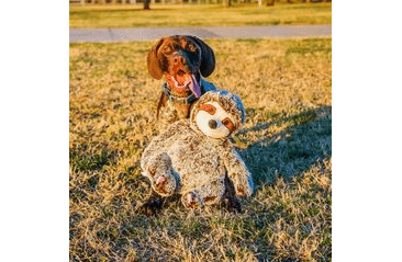 MULTIPET JUMBO LENOCHOD PLYŠ 35,5 CM