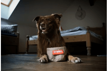 CESTOVNÍ MISKA AMINELA 1,5L - BÉŽOVÁ