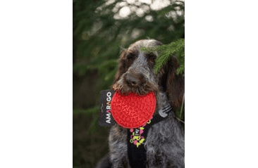 AMARAGO LÍZACÍ PODLOŽKA KRUH ČERVENÝ