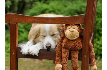 MULTIPET SWINGIN SAFARI OPICE PLYŠ 48 CM