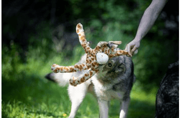 MULTIPET SWINGIN SAFARI ŽIRAFA PLYŠ 48 CM