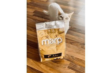 MARP HOLISTIC INDOOR CAT - PRO DOSPĚLÉ A STARŠÍ KOČKY 2KG