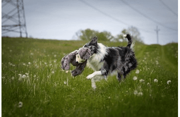 MULTIPET JUMBO LENOCHOD PLYŠ 35,5 CM