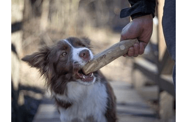MARP HOLISTIC - KÁVOVÉ DŘEVO S (30 - 50G)