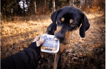 MARP NATURAL PLUS VANIČKA PRO PSY S JEHNĚČÍM A HOVĚZÍM 12X150G